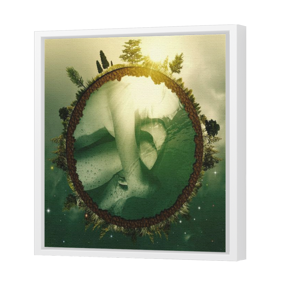 Thumbnail for Canvas - White Floating Frame
