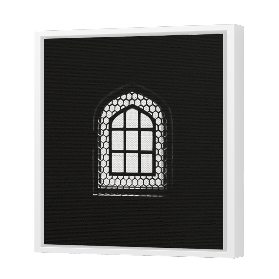 Thumbnail for Canvas - White Floating Frame