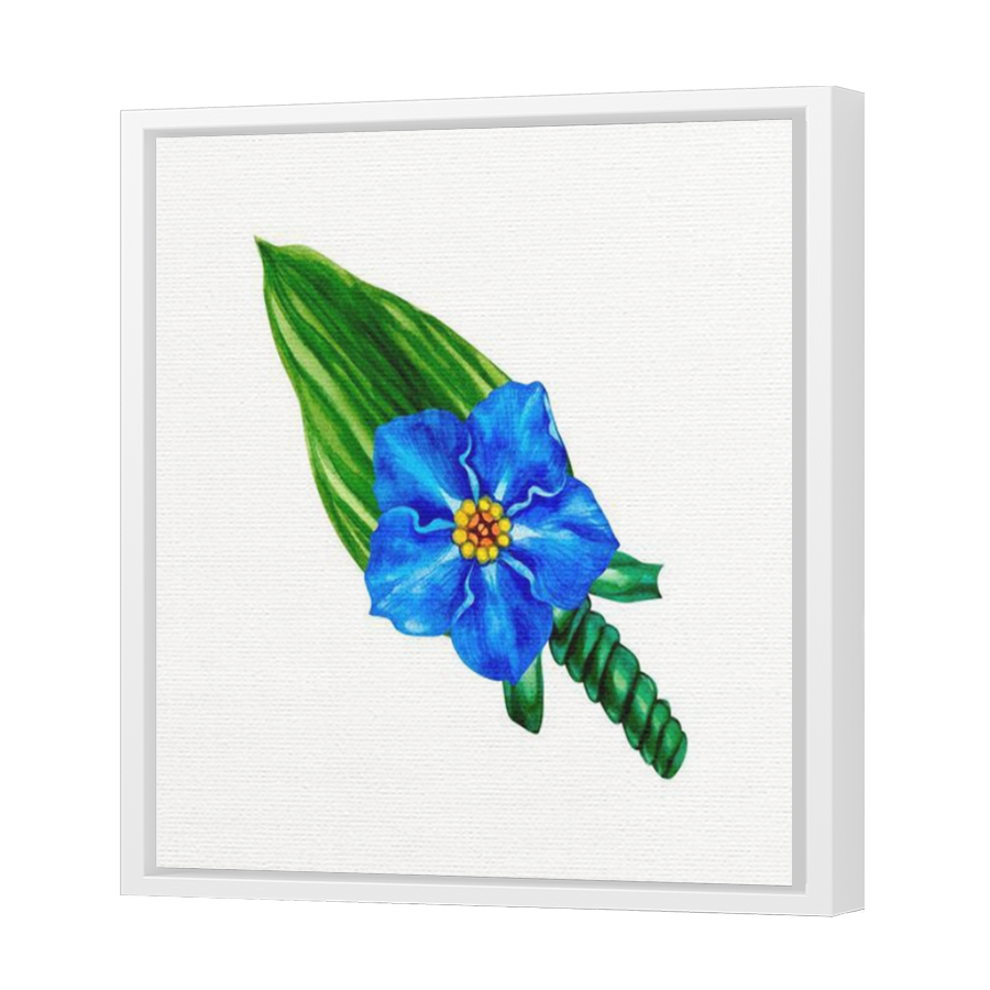 Thumbnail for Canvas - White Floating Frame