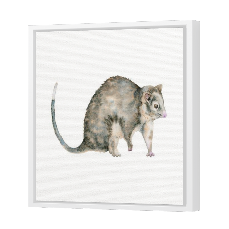 Thumbnail for Canvas - White Floating Frame