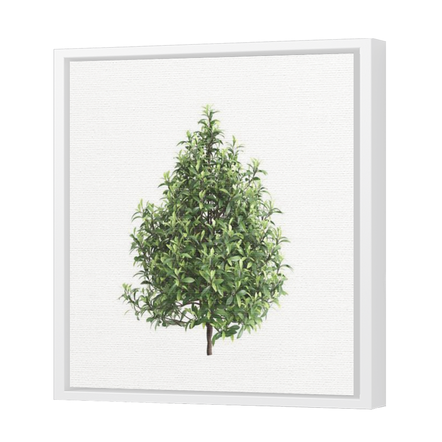 Thumbnail for Canvas - White Floating Frame