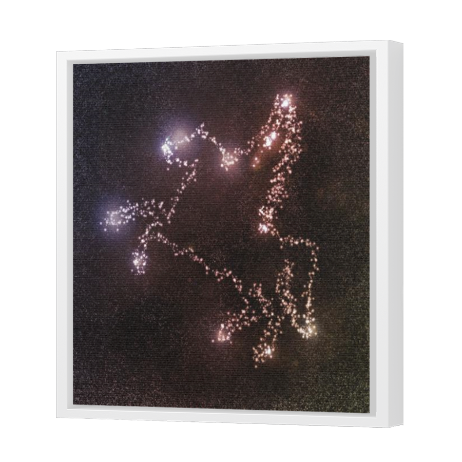 Thumbnail for Canvas - White Floating Frame