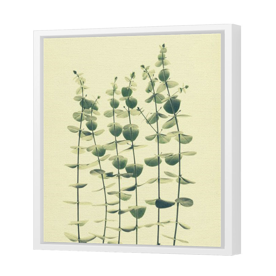 Thumbnail for Canvas - White Floating Frame