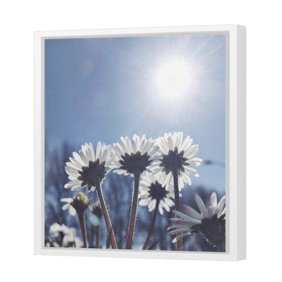 Thumbnail for Canvas - White Floating Frame