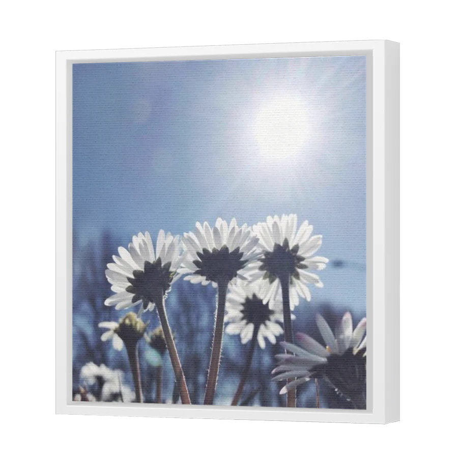 Thumbnail for Canvas - White Floating Frame