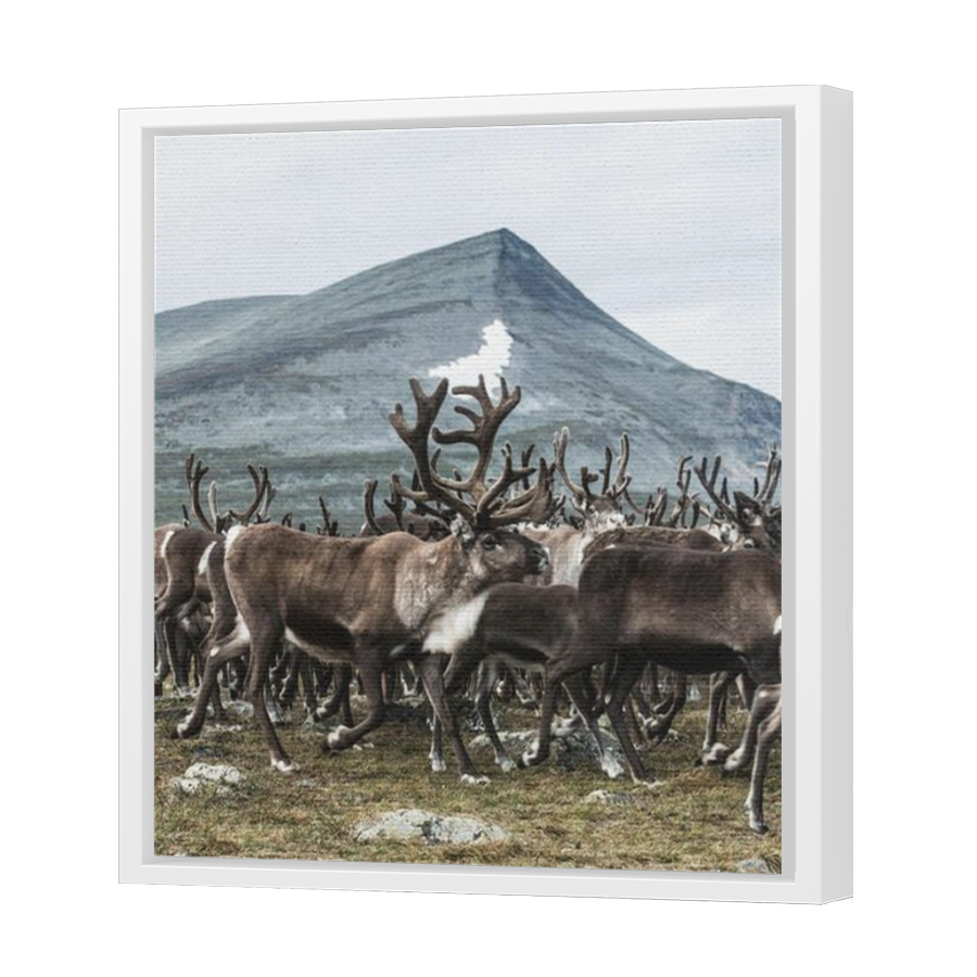 Thumbnail for Canvas - White Floating Frame