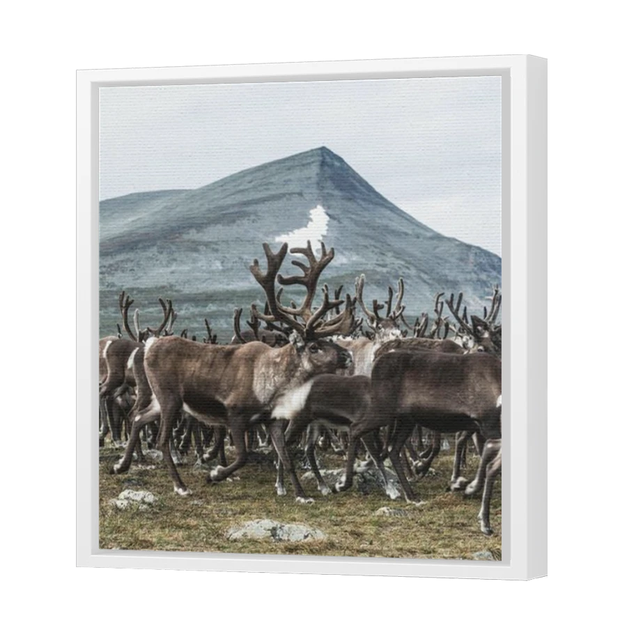 Thumbnail for Canvas - White Floating Frame