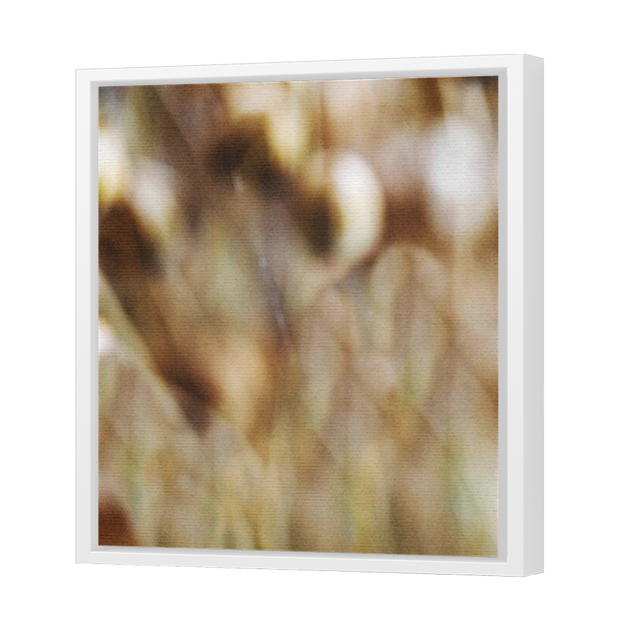 Thumbnail for Canvas - White Floating Frame