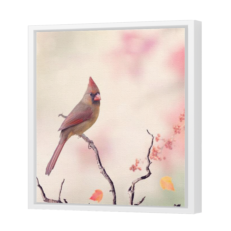 Thumbnail for Canvas - White Floating Frame