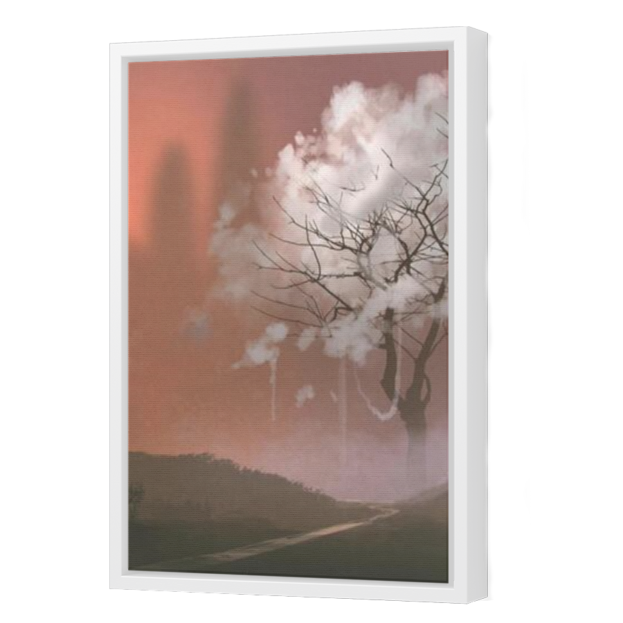 Thumbnail for Canvas - White Floating Frame