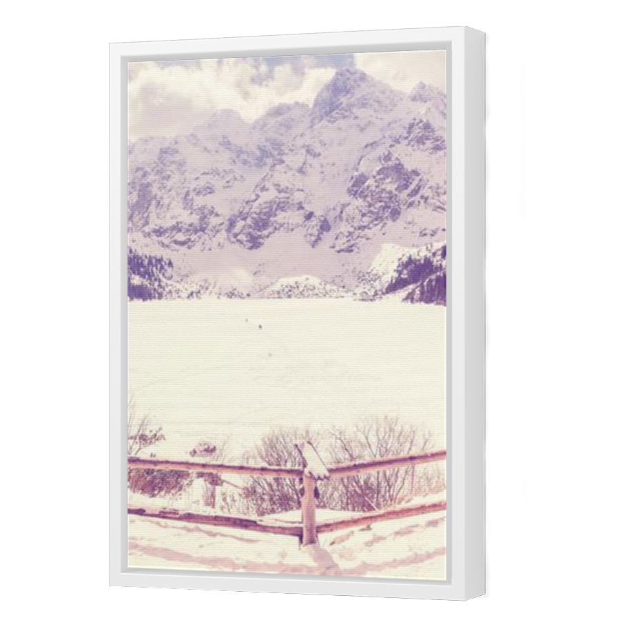 Thumbnail for Canvas - White Floating Frame
