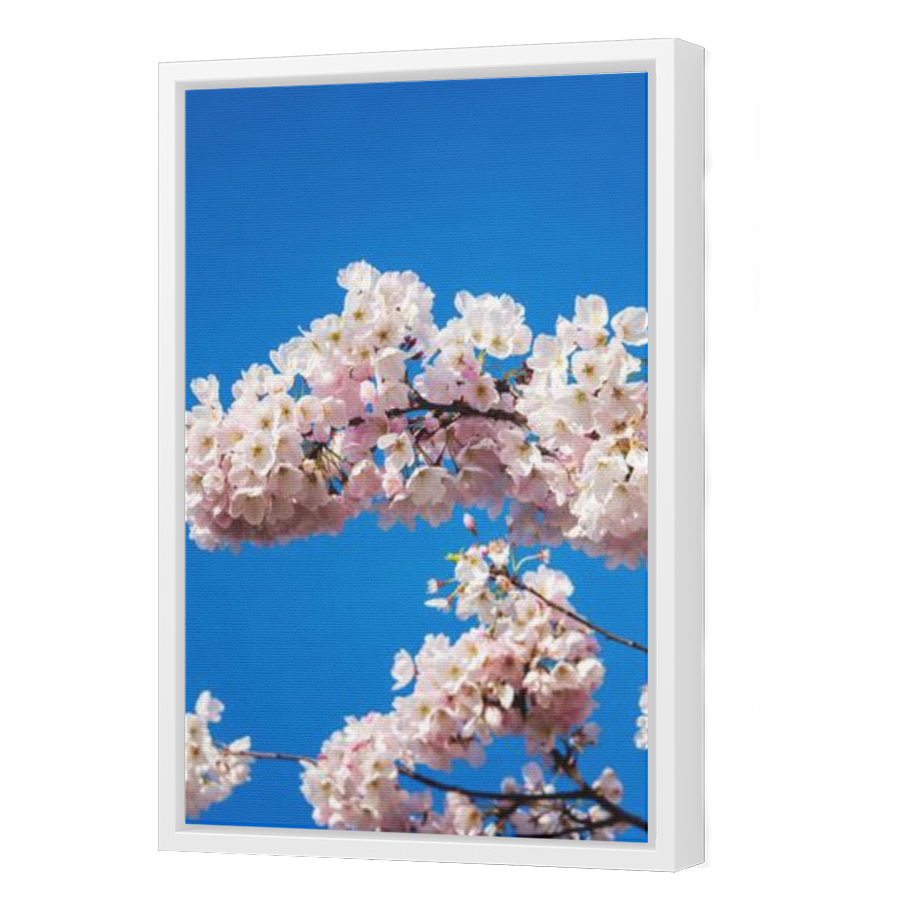 Thumbnail for Canvas - White Floating Frame