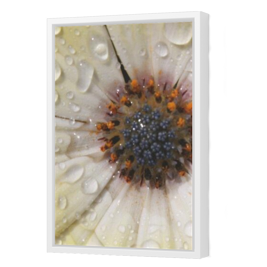 Thumbnail for Canvas - White Floating Frame