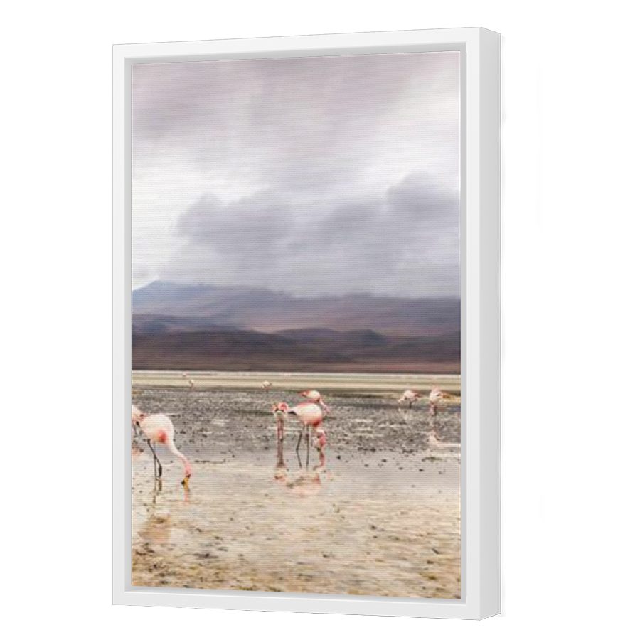 Thumbnail for Canvas - White Floating Frame