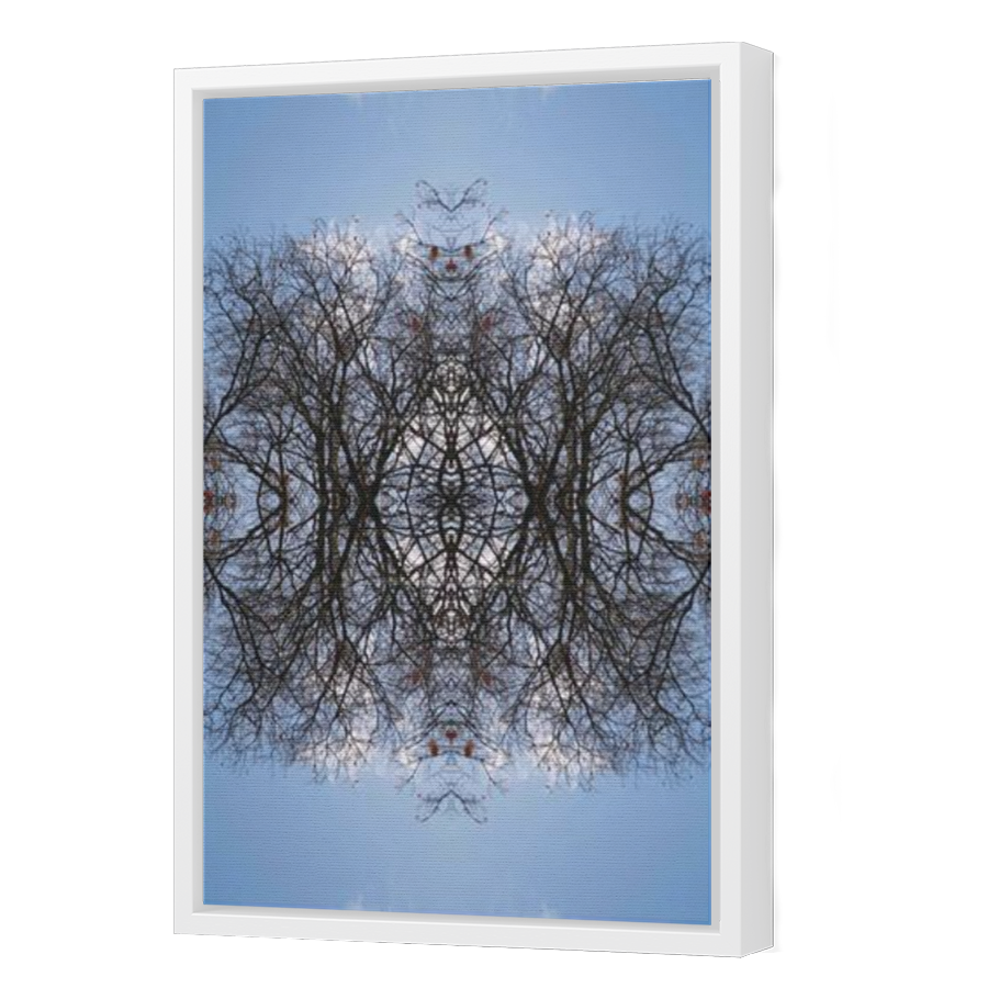 Thumbnail for Canvas - White Floating Frame