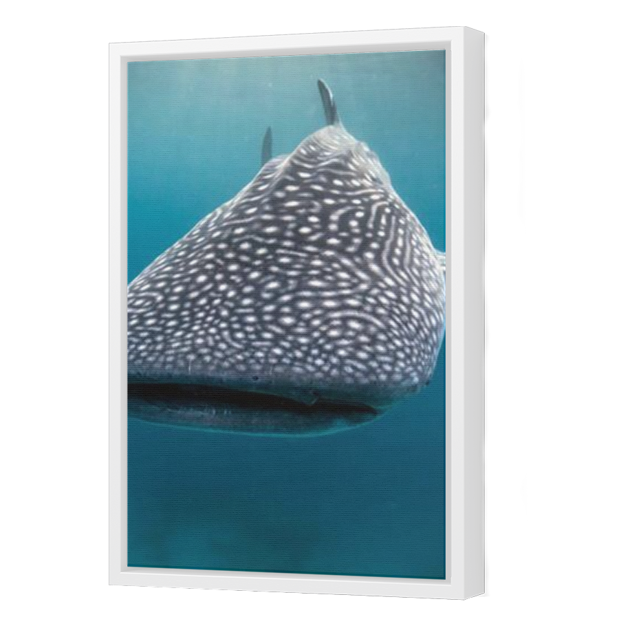 Thumbnail for Canvas - White Floating Frame