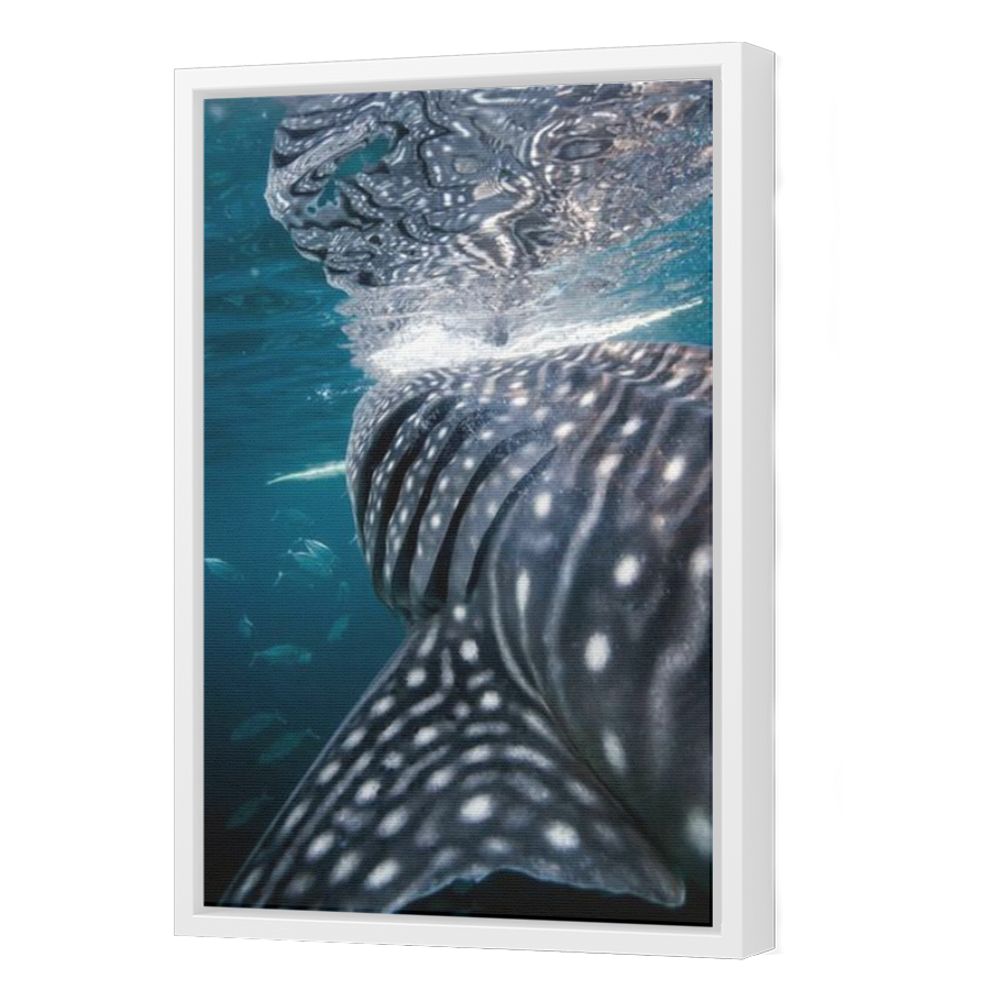 Thumbnail for Canvas - White Floating Frame
