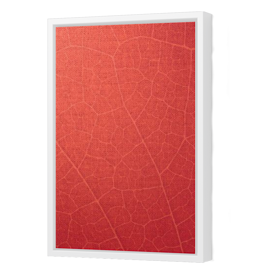 Thumbnail for Canvas - White Floating Frame