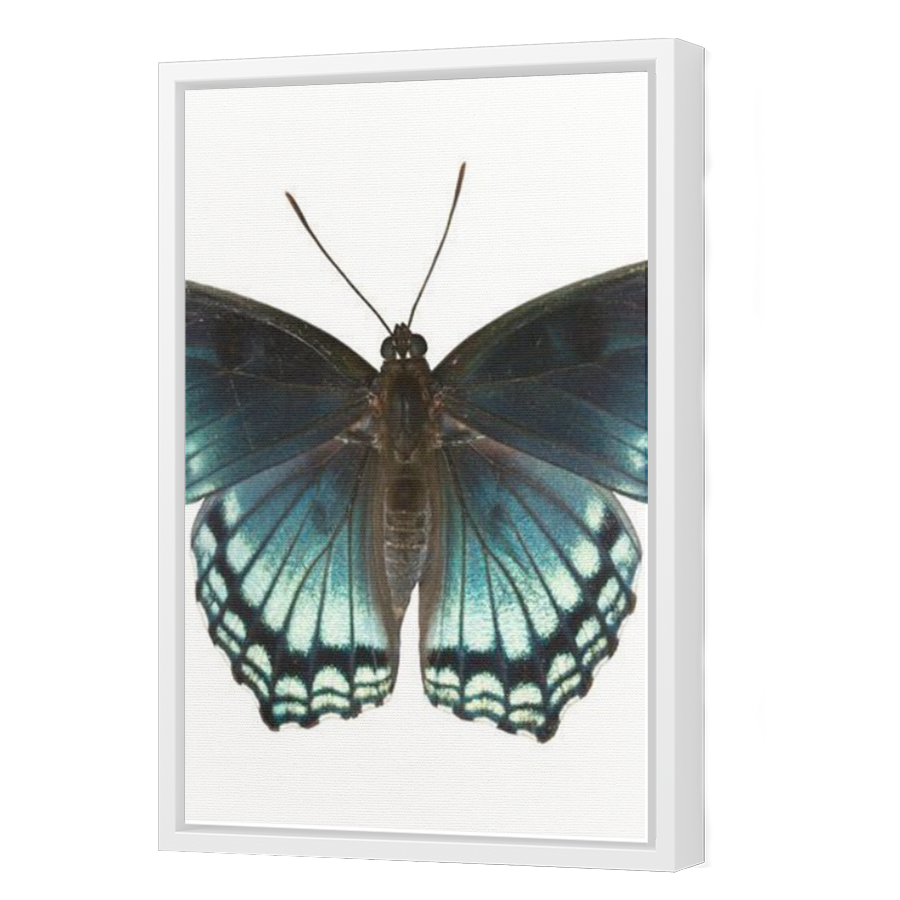 Thumbnail for Canvas - White Floating Frame