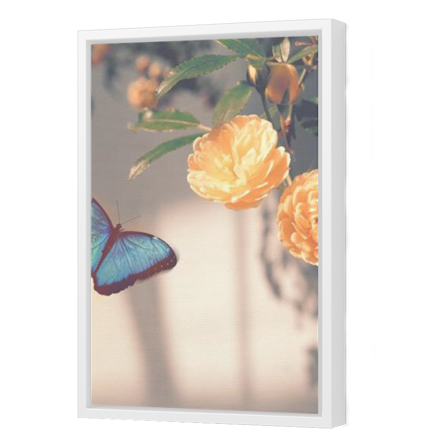 Thumbnail for Canvas - White Floating Frame