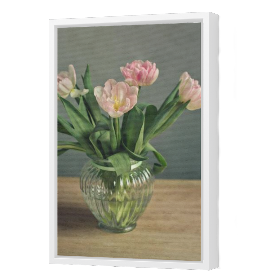 Thumbnail for Canvas - White Floating Frame