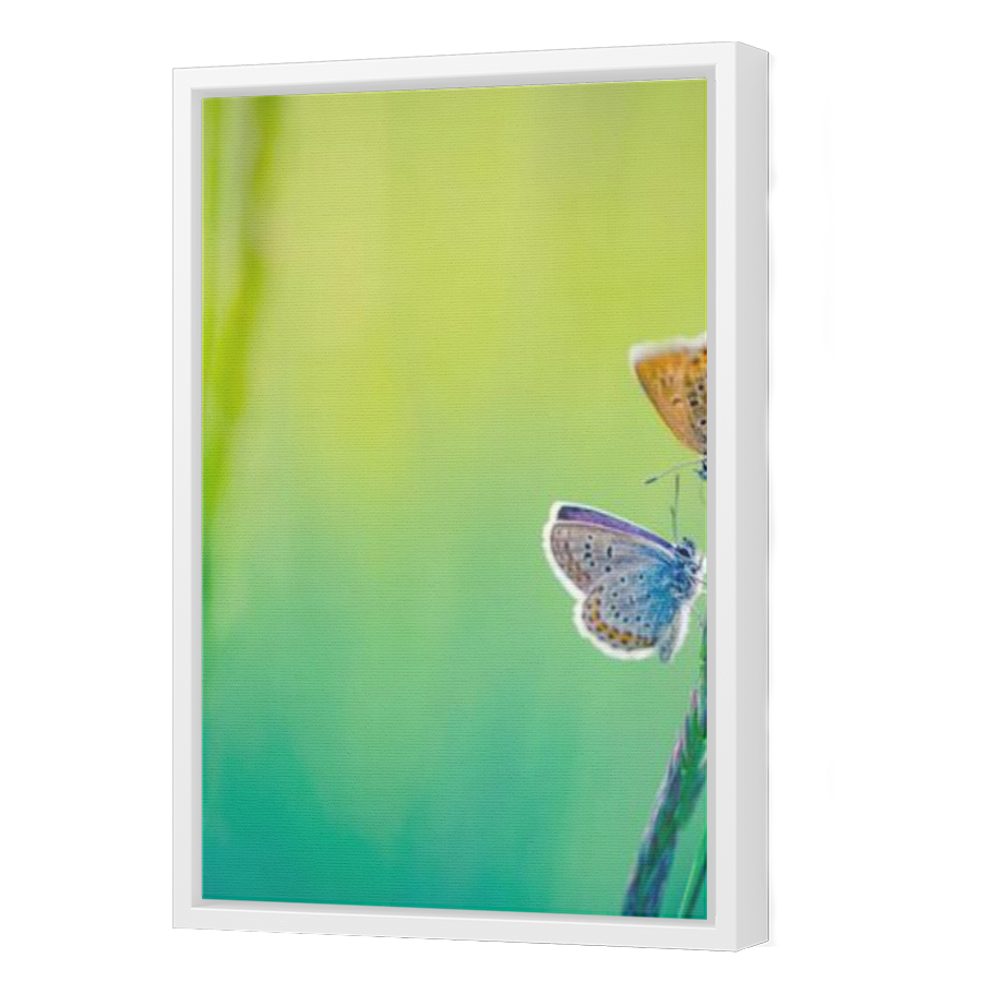 Thumbnail for Canvas - White Floating Frame