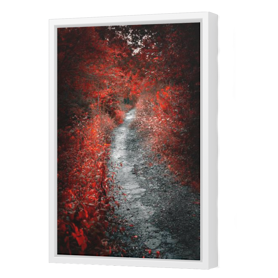 Thumbnail for Canvas - White Floating Frame
