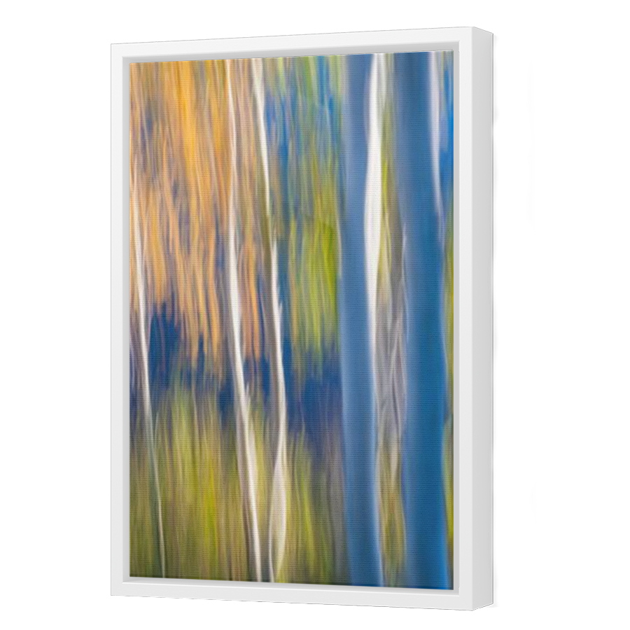 Thumbnail for Canvas - White Floating Frame