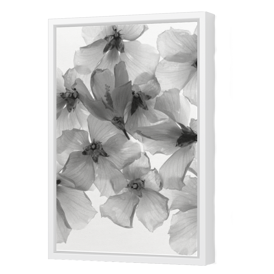 Thumbnail for Canvas - White Floating Frame