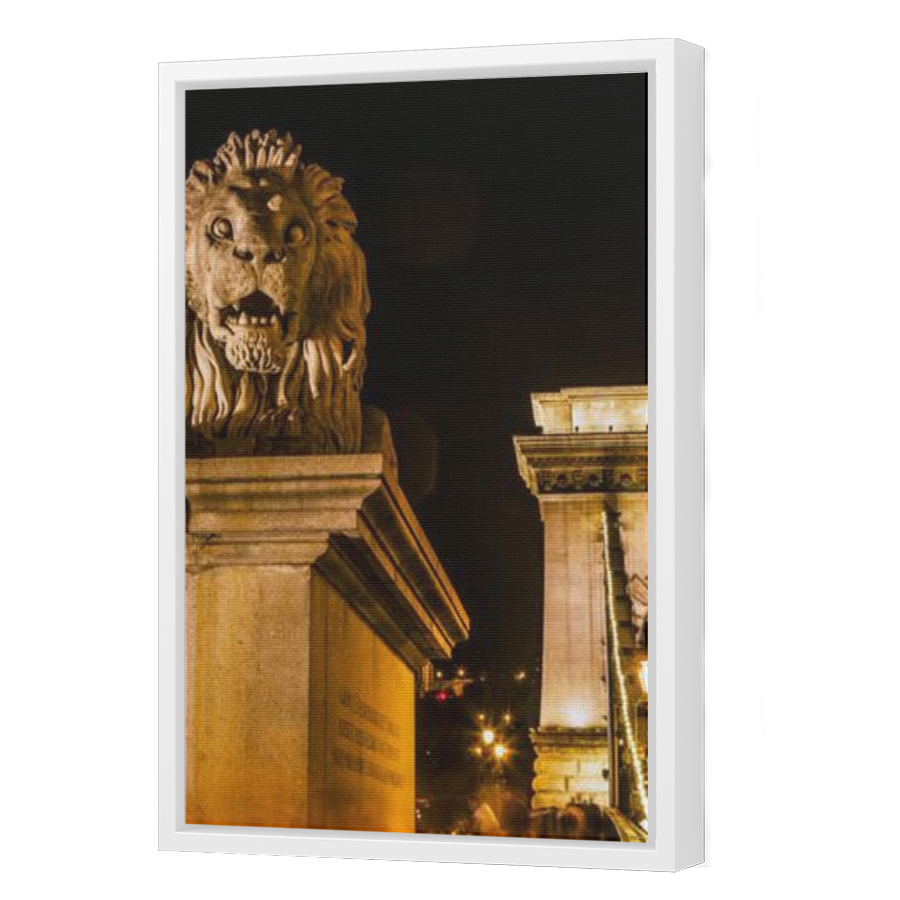 Thumbnail for Canvas - White Floating Frame