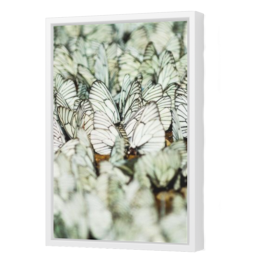 Thumbnail for Canvas - White Floating Frame