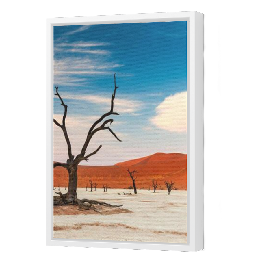 Thumbnail for Canvas - White Floating Frame