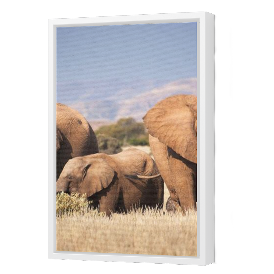 Thumbnail for Canvas - White Floating Frame