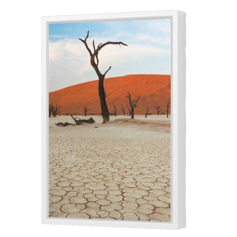 Thumbnail for Canvas - White Floating Frame