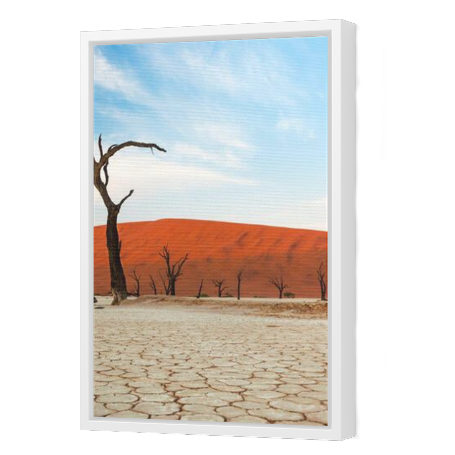 Thumbnail for Canvas - White Floating Frame