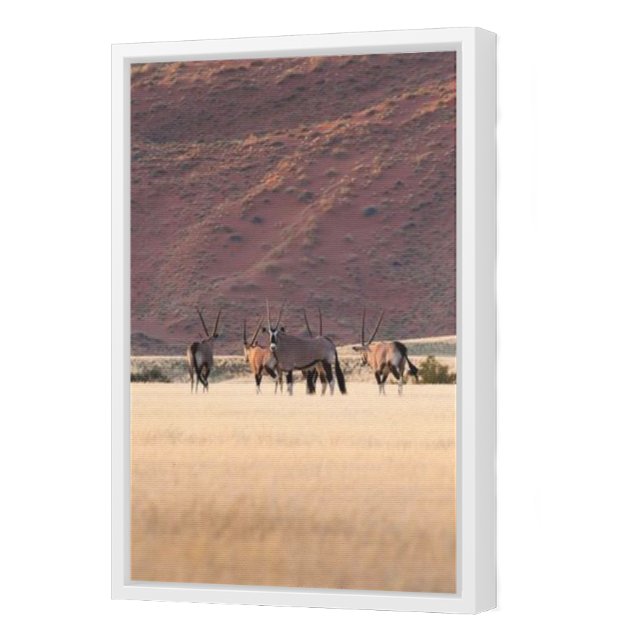 Thumbnail for Canvas - White Floating Frame