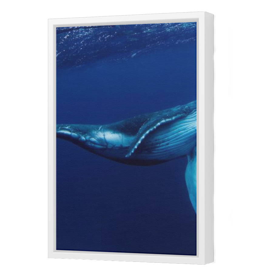 Thumbnail for Canvas - White Floating Frame