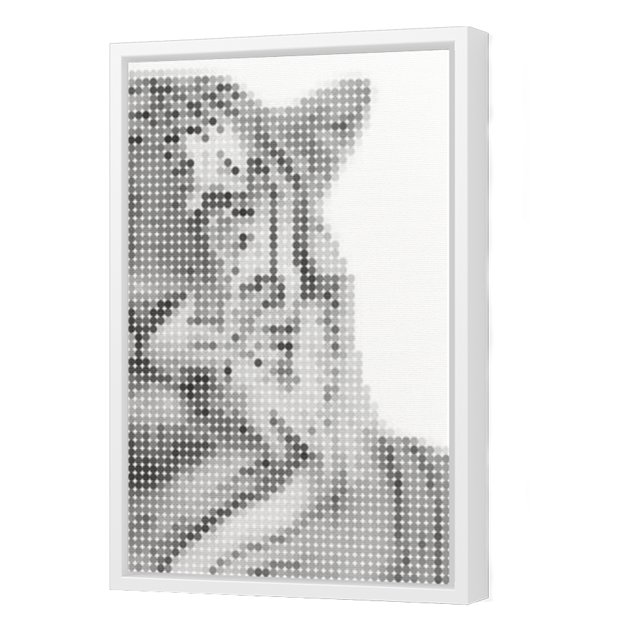 Thumbnail for Canvas - White Floating Frame