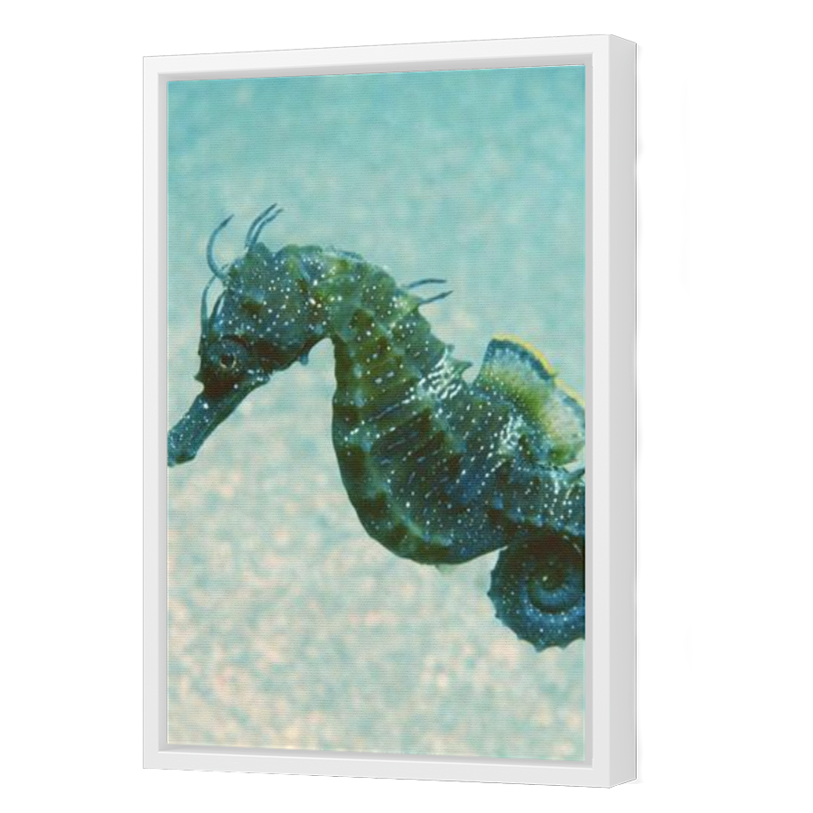 Thumbnail for Canvas - White Floating Frame