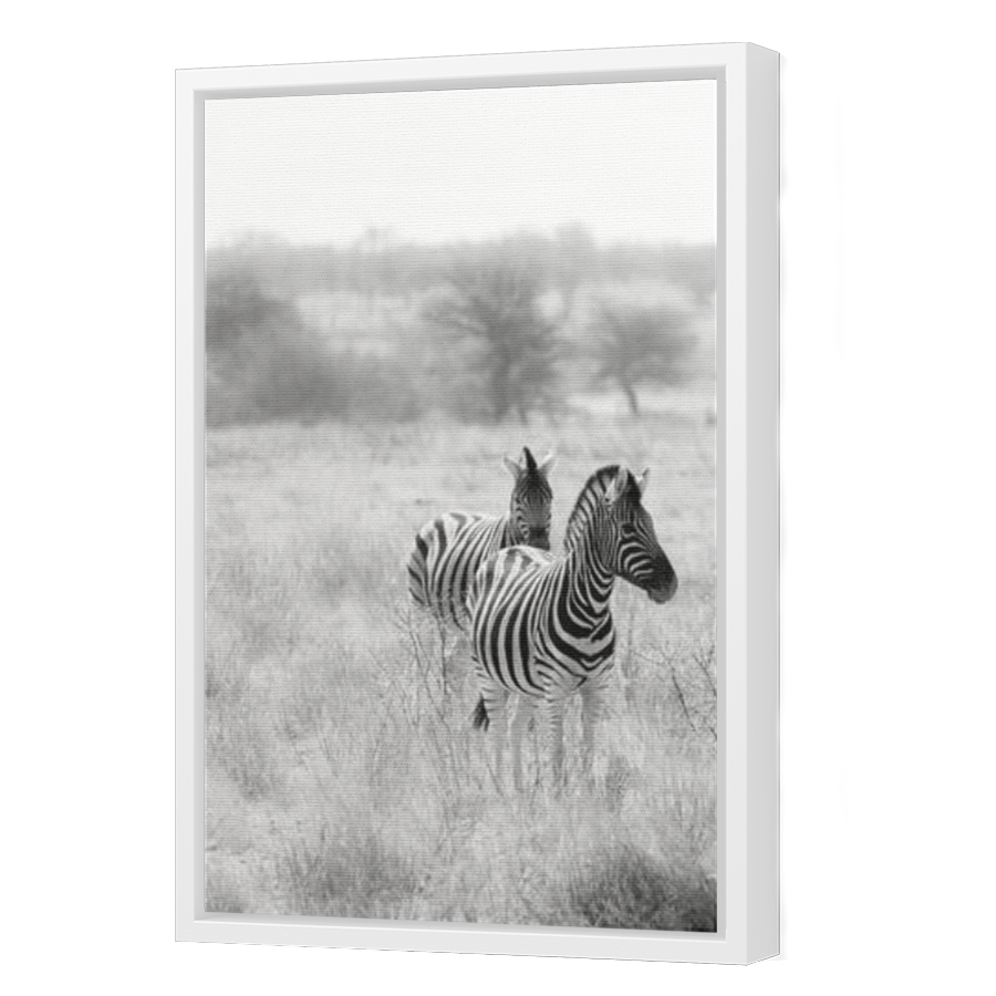 Thumbnail for Canvas - White Floating Frame