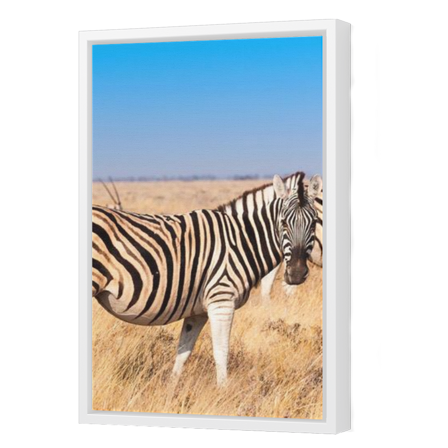 Thumbnail for Canvas - White Floating Frame