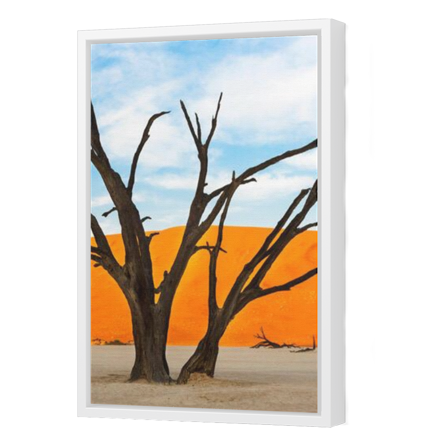 Thumbnail for Canvas - White Floating Frame