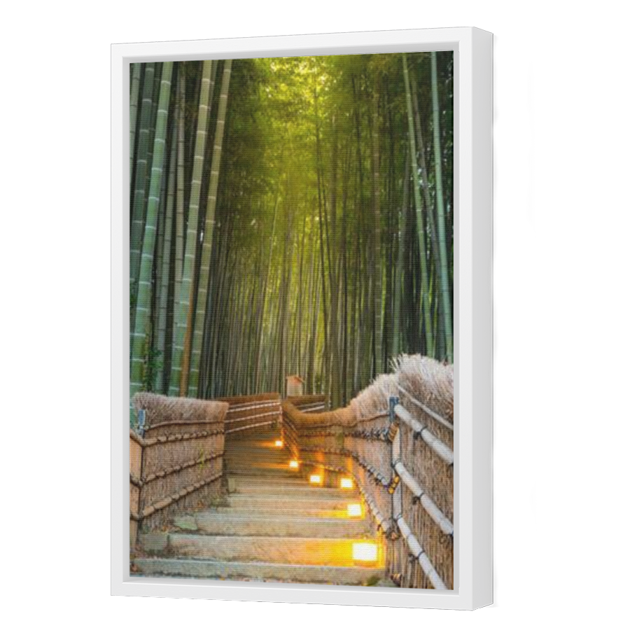 Thumbnail for Canvas - White Floating Frame