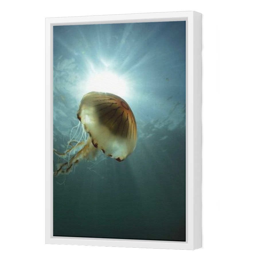 Thumbnail for Canvas - White Floating Frame