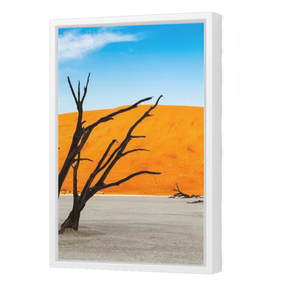 Thumbnail for Canvas - White Floating Frame