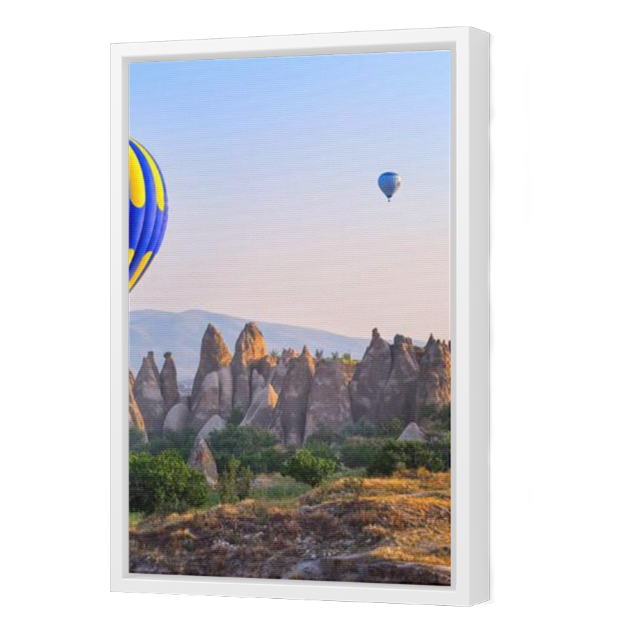 Thumbnail for Canvas - White Floating Frame