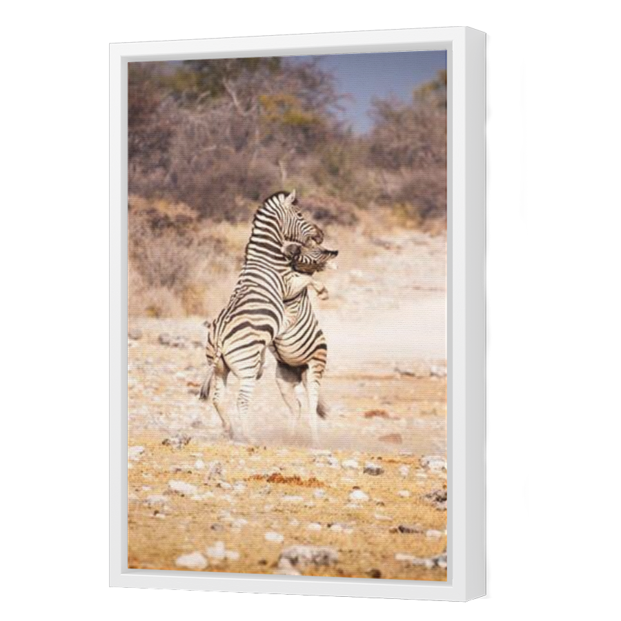 Thumbnail for Canvas - White Floating Frame