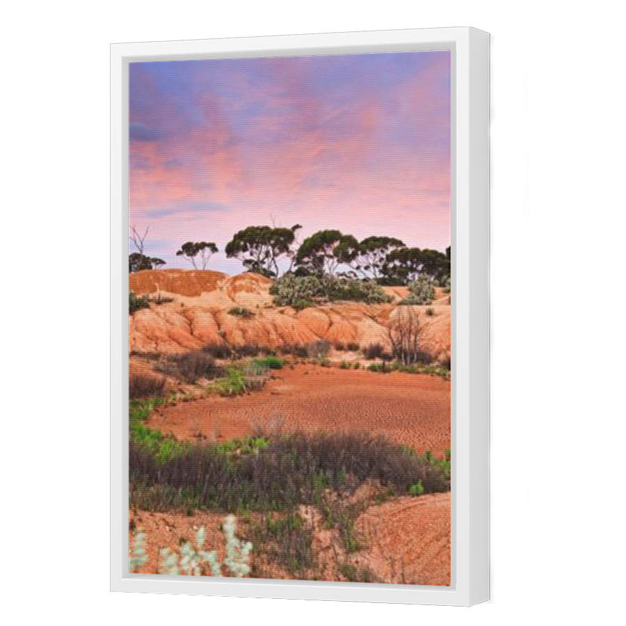 Thumbnail for Canvas - White Floating Frame