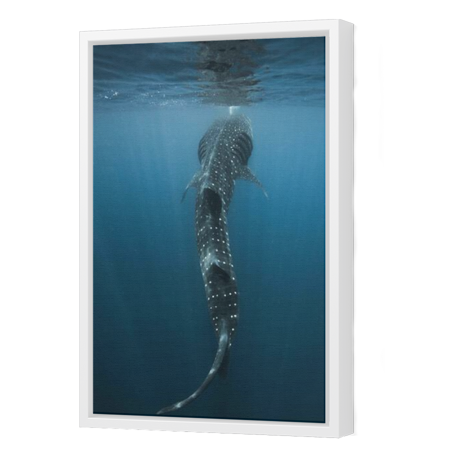 Thumbnail for Canvas - White Floating Frame