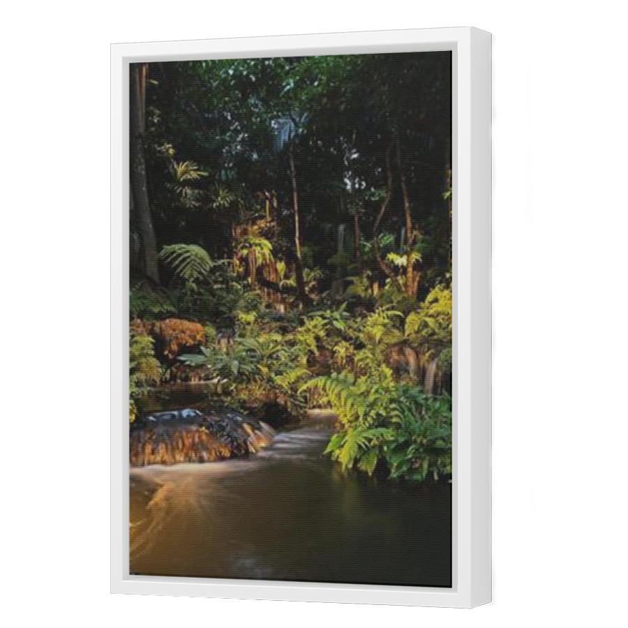 Thumbnail for Canvas - White Floating Frame